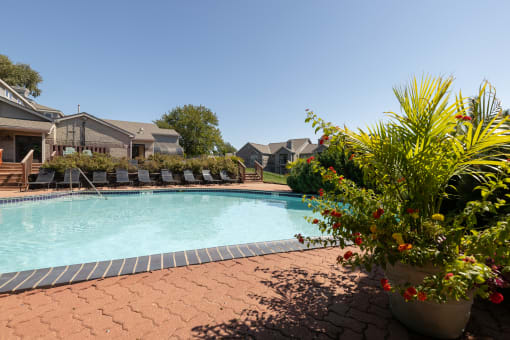 A tranquil pool surrounded by lounge chairs and greenery.